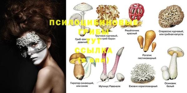 бошки Балахна