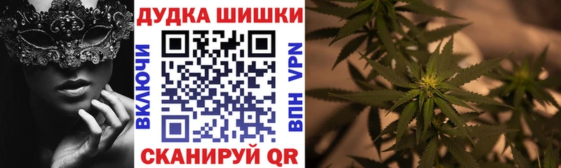 Конопля план Щёкино